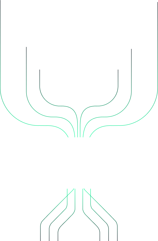 shape